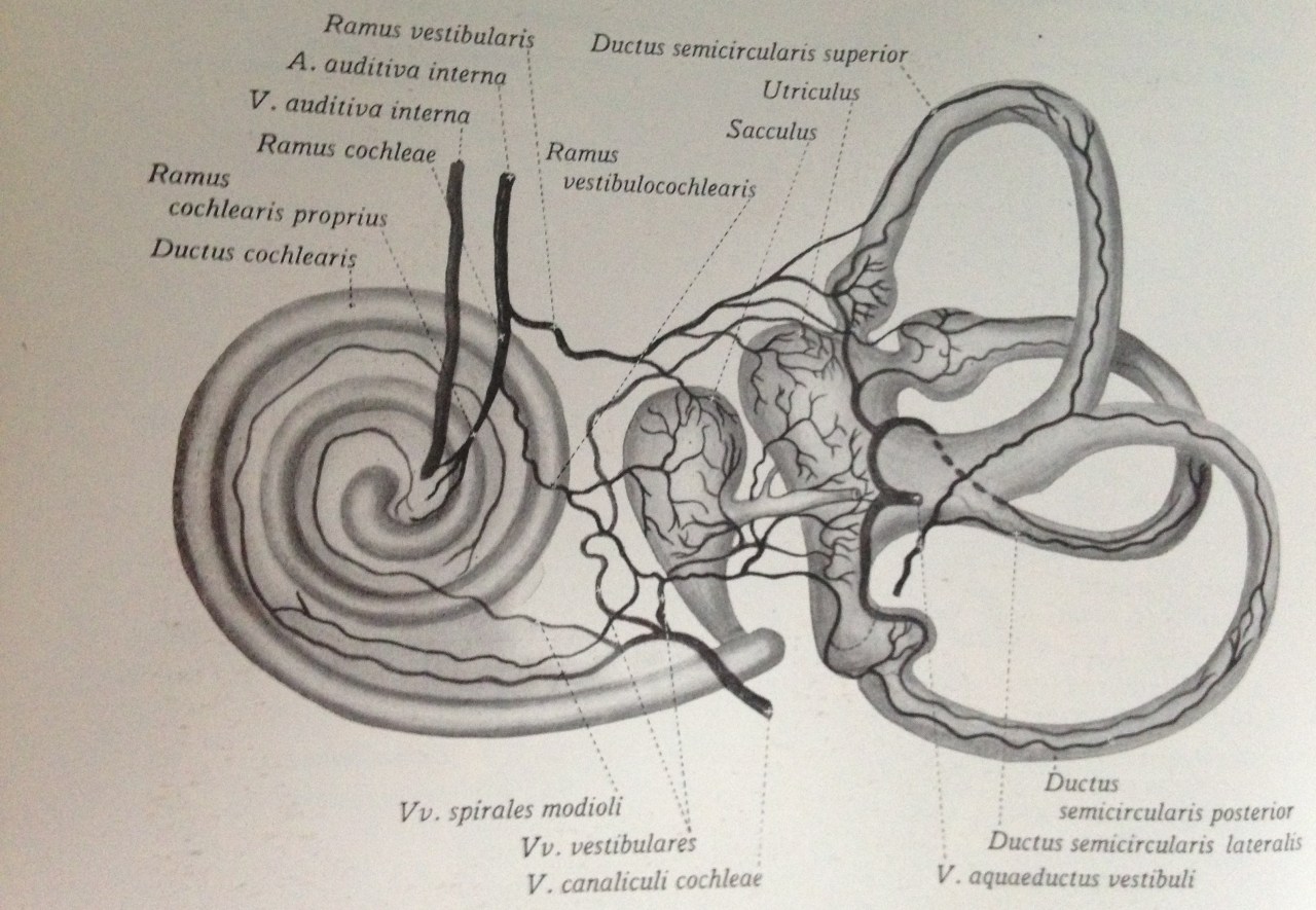 Held in the Hands of Time